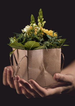 cat-products-flowers
