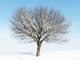 season-tel
