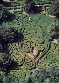 buxus-suffruticosa_soveny-bukszus-tiszadob-kastely-kertjeben