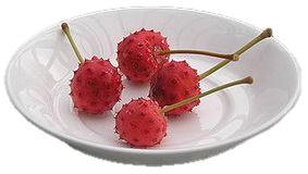 cornus-kousa-fruits